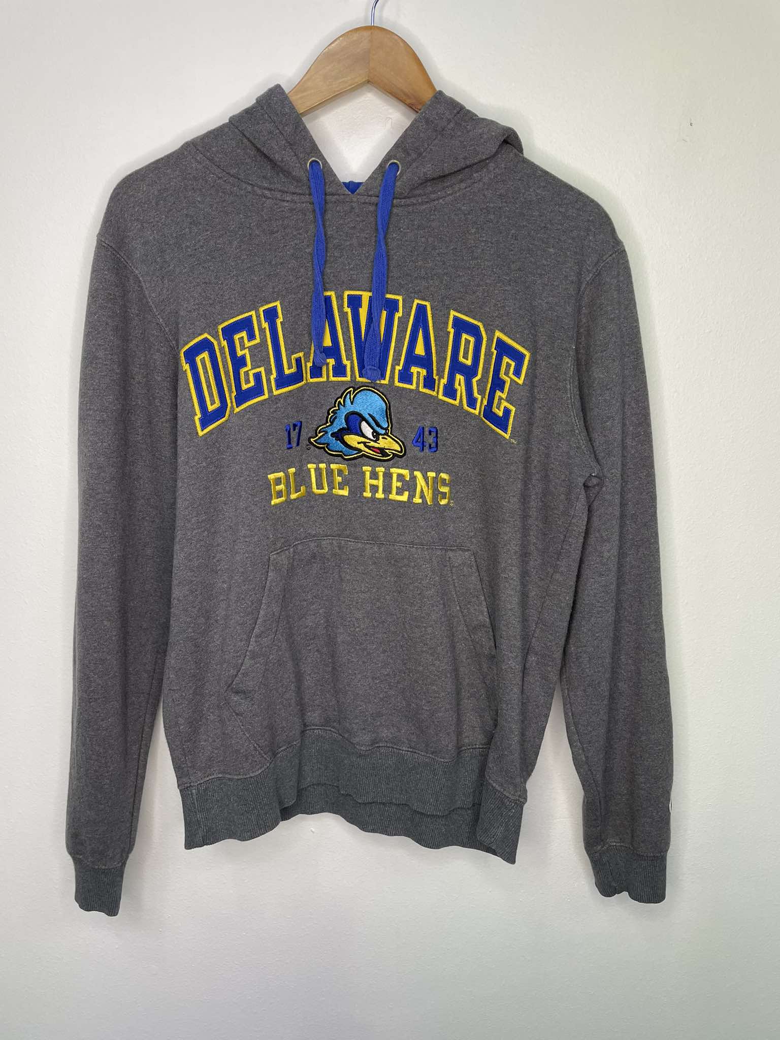 Vintage Delaware Blue Hens Hoodie